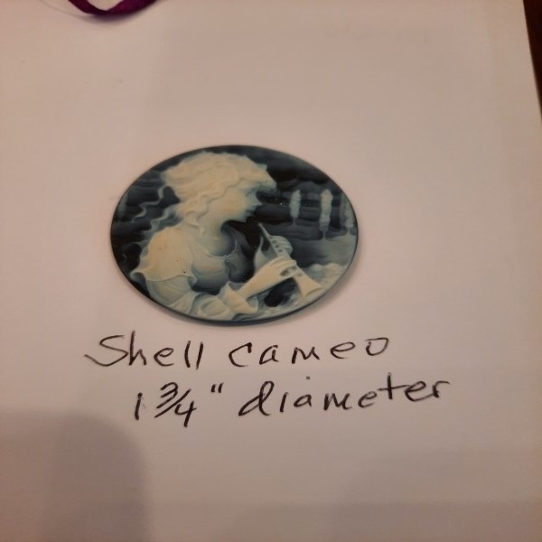  shell Cameo 1/34 Diametor