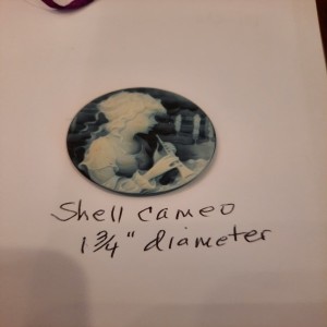 shell Cameo 1/34 Diametor