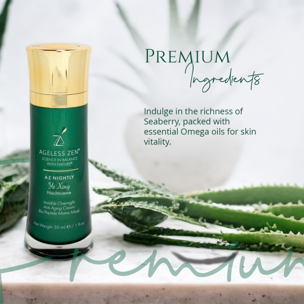  NIGHTLY INVISIBLE OVERNIGHT CREAM 