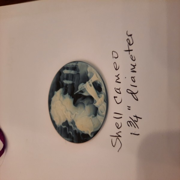  shell Cameo 1/34 Diametor